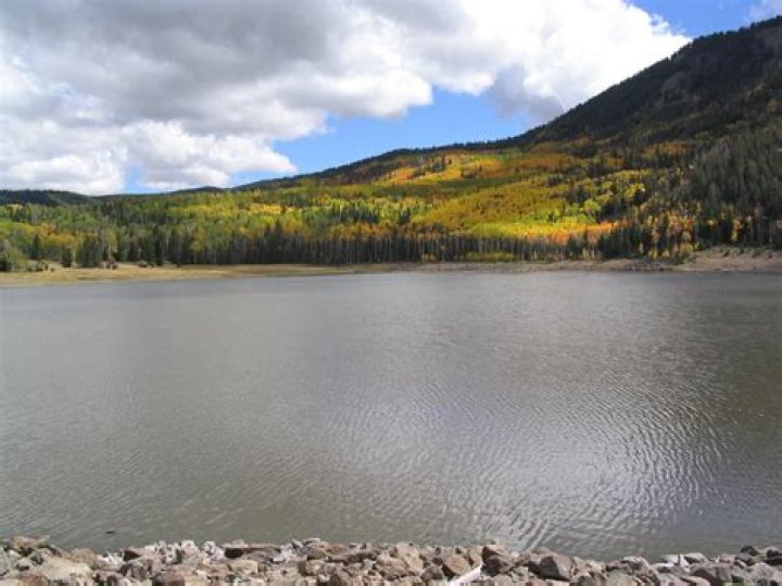Can you swim in Don Pedro Lake? – Celebrity