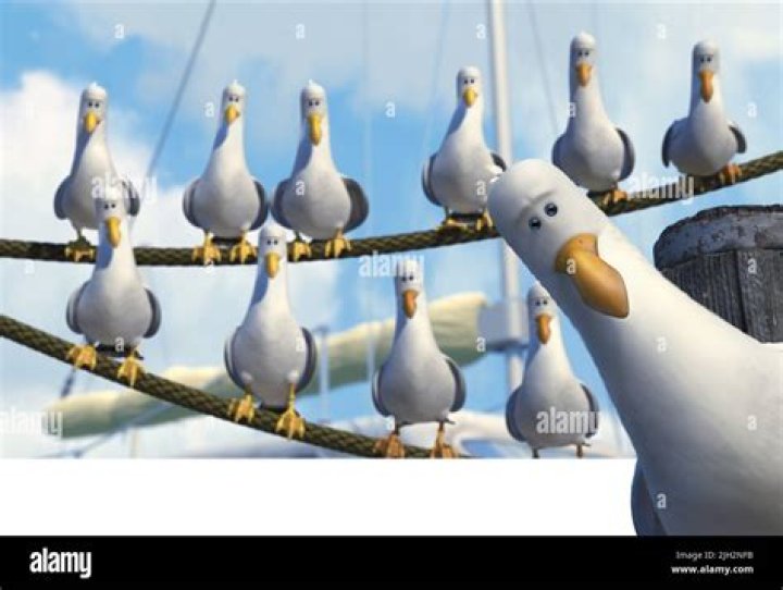 Do the seagulls in Finding Nemo say mine or mate? – Celebrity