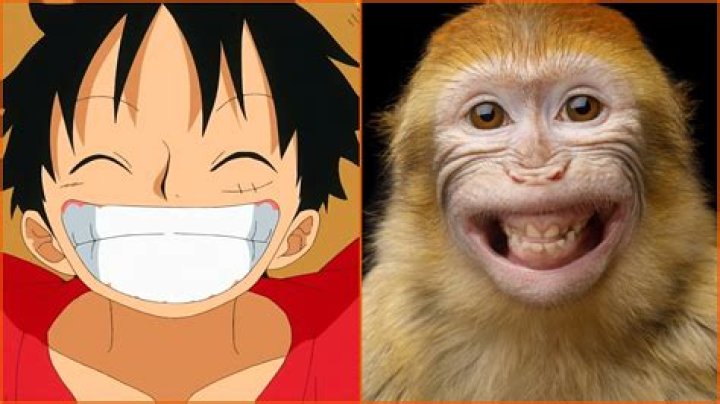 Every Straw Hat’s spirit animal in ‘One Piece’