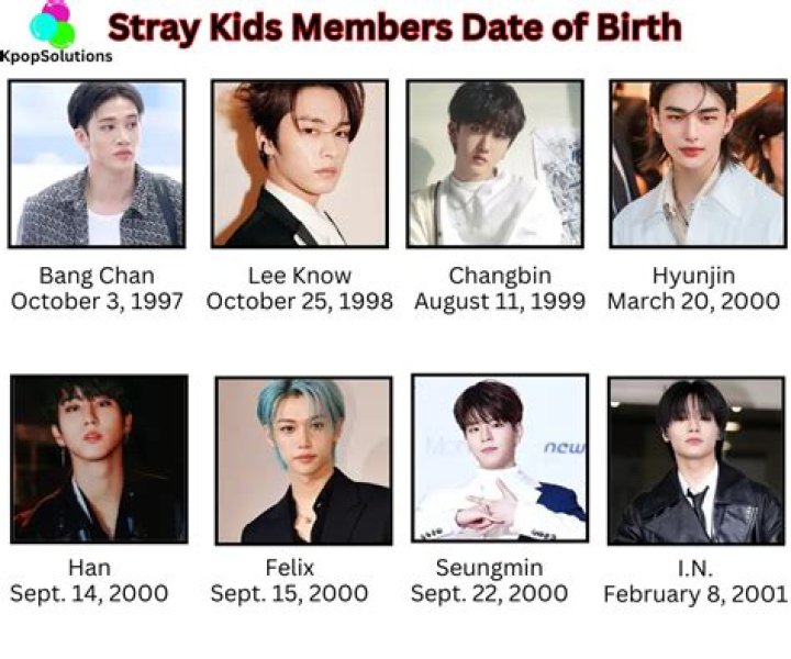 How many members are in Stray Kids? All Stray Kids Members