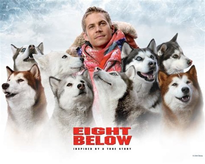 How true is the movie Eight Below? – Celebrity