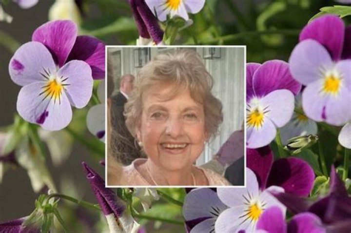 Janeecia “Nene” Mason Obituary, Janeecia “Nene” Mason found dead Buried Under Bridge,