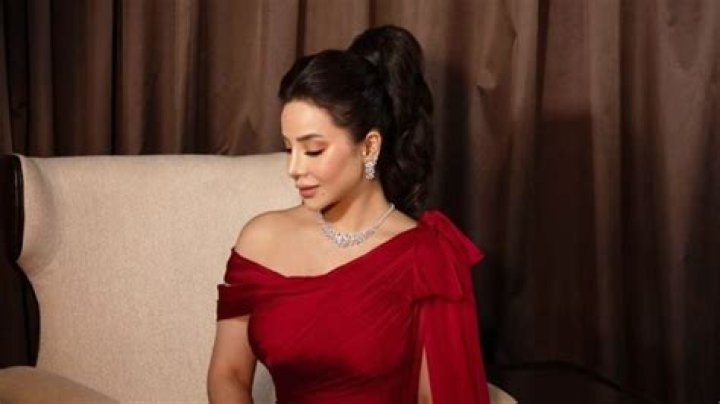 Lojain Omran Wiki, Net Worth, Age, Ex Husband, Boyfriend, Kids & More