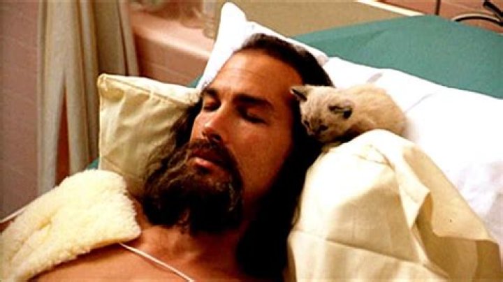 One of Steven Seagal’s best-reviewed movies (that still sucks) wakes up on Netflix