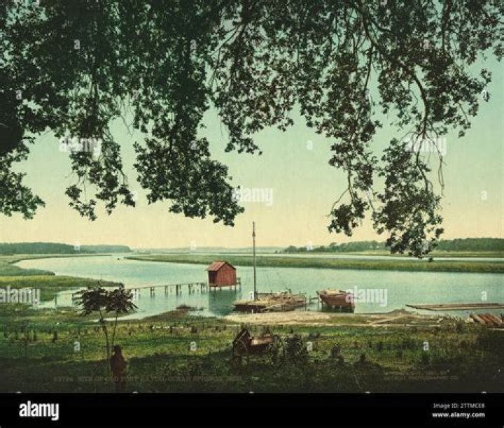 Robert Fishman Found Dead in Old Fort Bayou