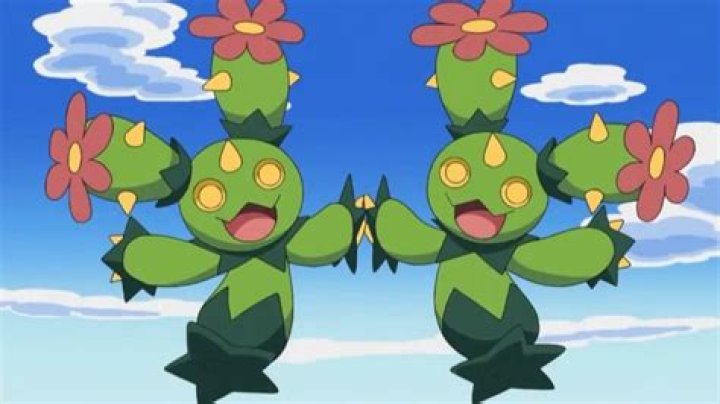 The 3 best cactus Pokémon