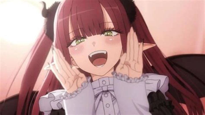 The Best Ecchi Anime Series