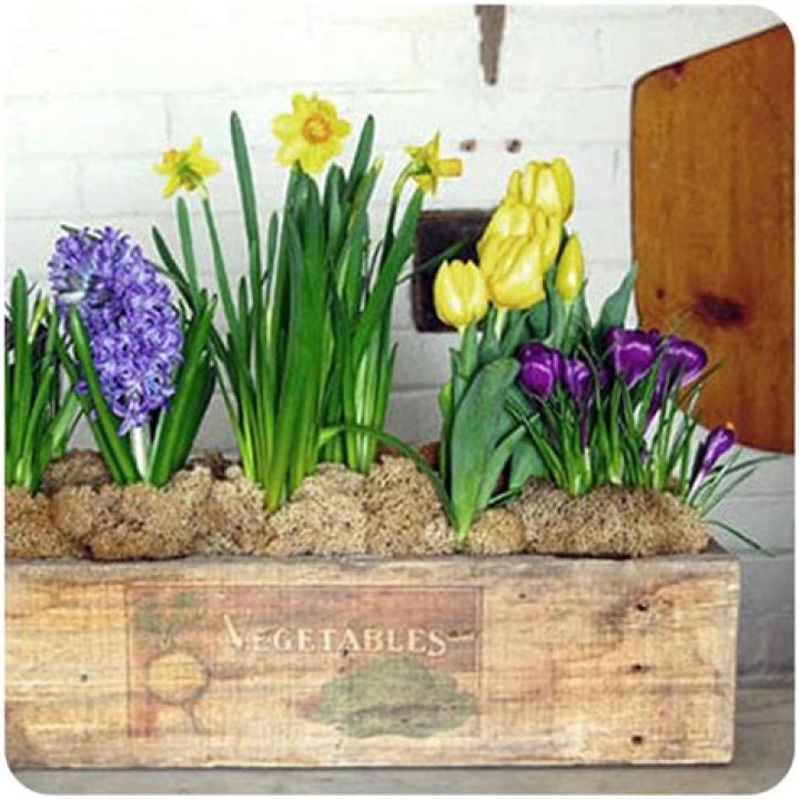 TheArtofDoingStuff ვიდეო სტატისტიკის