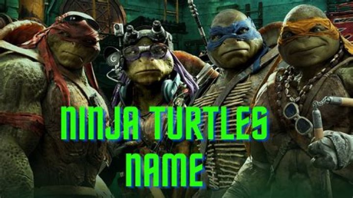 What are the names of the turtles in Nemo? – Celebrity