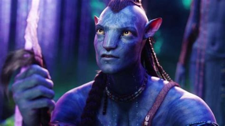 What is the significance of Na’vi’s unique braids in ‘Avatar?’