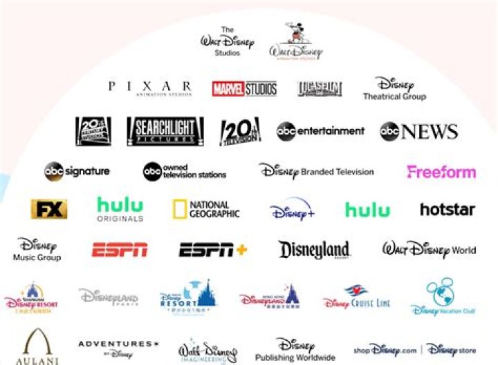 Why does Disney get a TFR? – Celebrity