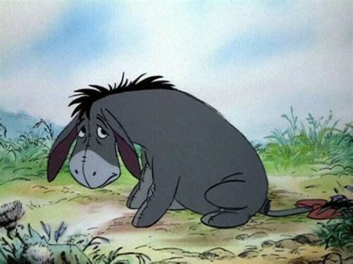 Why is the donkey in Winnie the Pooh always sad? – Celebrity